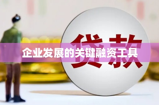 舟曲企业发展的关键融资工具