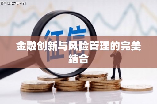 舟曲金融创新与风险管理的完美结合