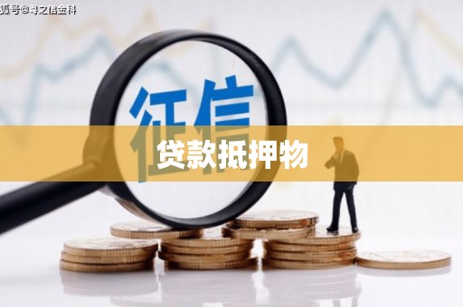 舟曲贷款抵押物