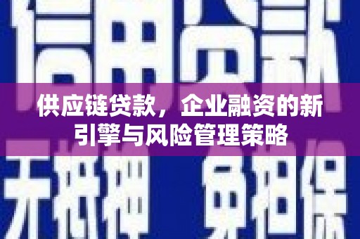 舟曲供应链贷款，企业融资的新引擎与风险管理策略