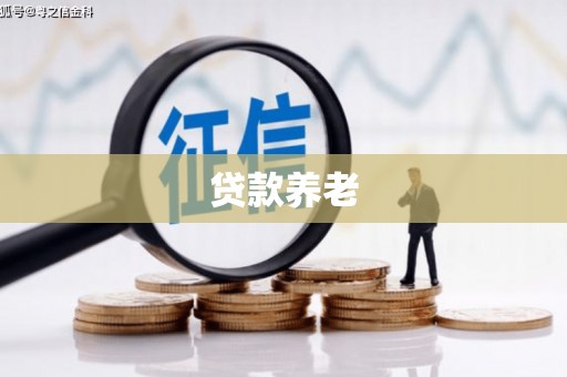 舟曲贷款养老