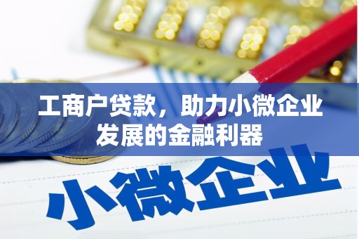 舟曲工商户贷款，助力小微企业发展的金融利器