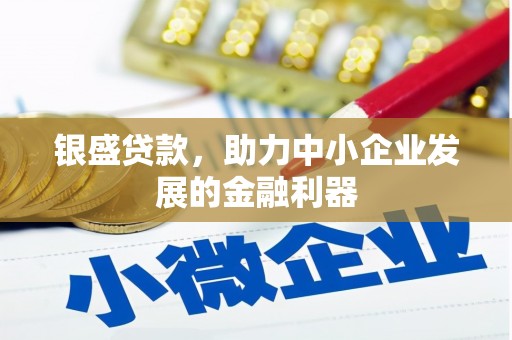 舟曲银盛贷款，助力中小企业发展的金融利器
