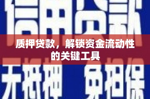 舟曲质押贷款，解锁资金流动性的关键工具