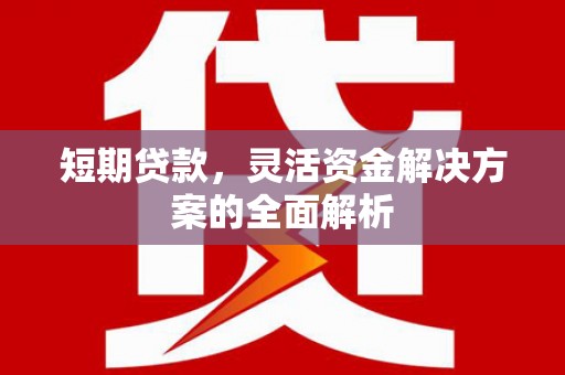 舟曲短期贷款，灵活资金解决方案的全面解析