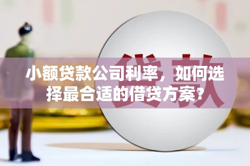 舟曲小额贷款公司利率，如何选择最合适的借贷方案？