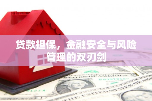 舟曲贷款担保，金融安全与风险管理的双刃剑