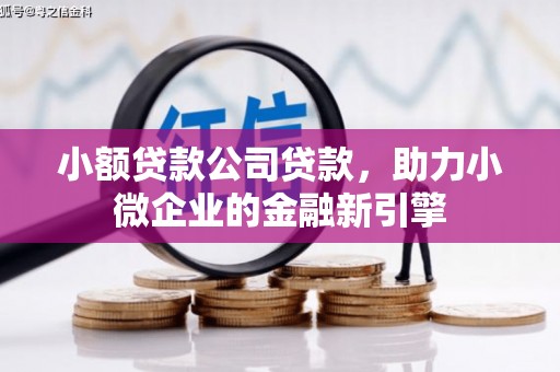 舟曲小额贷款公司贷款，助力小微企业的金融新引擎