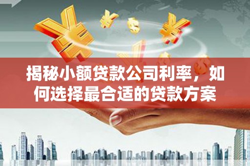 舟曲揭秘小额贷款公司利率，如何选择最合适的贷款方案