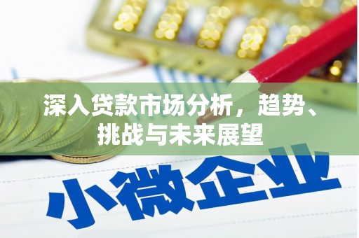 舟曲深入贷款市场分析，趋势、挑战与未来展望