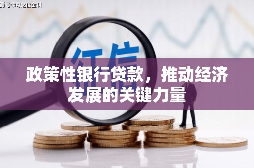 舟曲政策性银行贷款，推动经济发展的关键力量