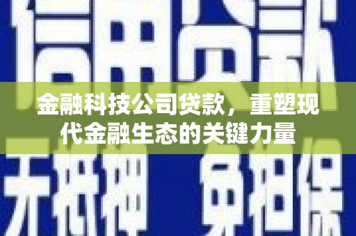 舟曲金融科技公司贷款，重塑现代金融生态的关键力量