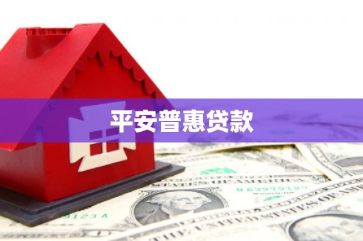 舟曲平安普惠贷款