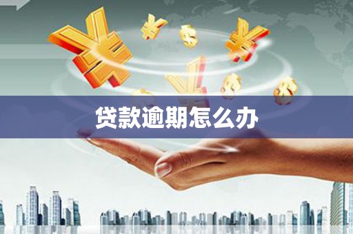 舟曲贷款逾期怎么办