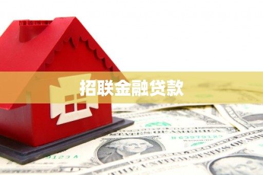 舟曲招联金融贷款