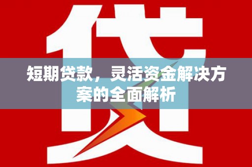舟曲短期贷款，灵活资金解决方案的全面解析