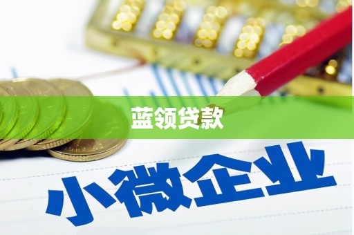 舟曲蓝领贷款