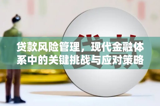 舟曲贷款风险管理，现代金融体系中的关键挑战与应对策略