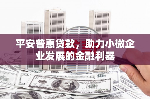 舟曲平安普惠贷款，助力小微企业发展的金融利器