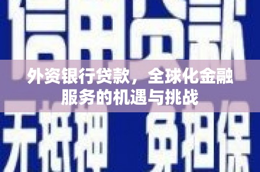 舟曲外资银行贷款，全球化金融服务的机遇与挑战