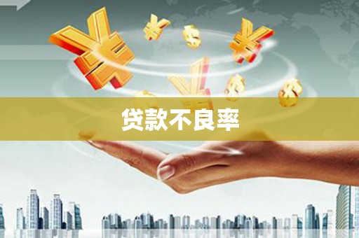 舟曲贷款不良率
