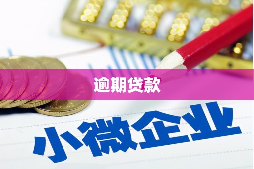 舟曲逾期贷款